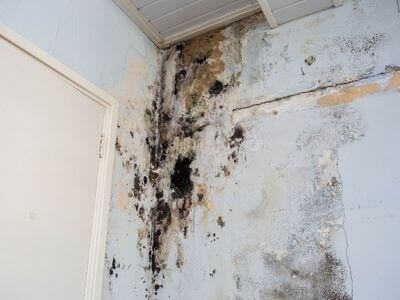 About Delta Water Restoration - water damage restoration experts in Sun City West, AZ